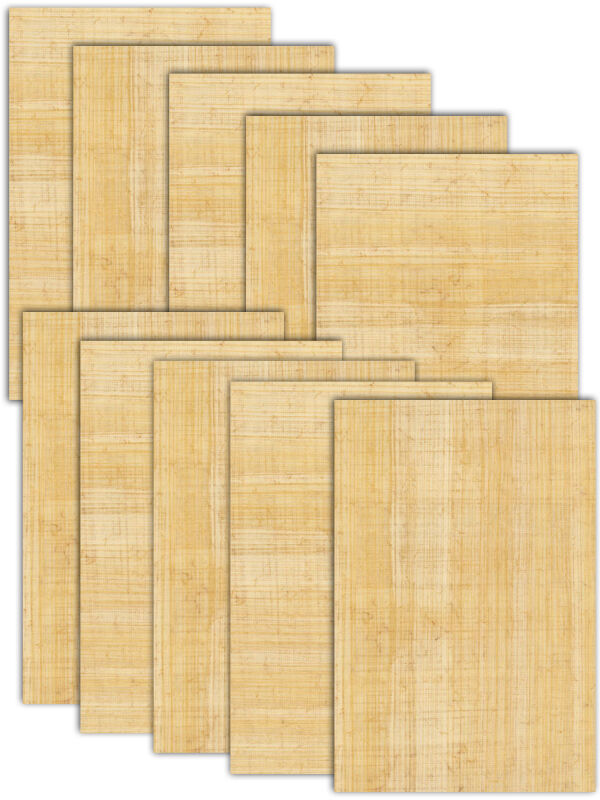 Hojas de papiro 30x20cm, 10 hojas cortadas, papiro natural de Egipto