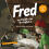 Fred im Reich der Nofretete - Hörspiel für Kinder - archäologische Abenteuer