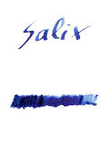 Writing ink Iron gallus ink Salix 50 ml