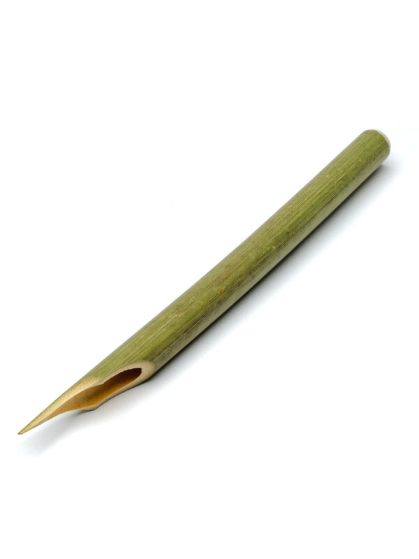 Pluma de caña, Calamus, pluma caligráfica, pluma de caña
