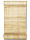 Rollo de papiro 180x30cm cortado, rollo de papiro en blanco