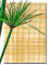 Hoja de papiro 30x20cm cortada, papiro natural egipcio