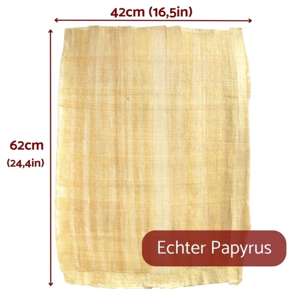 Papyrus leaf 62x42cm natural edge, Cyperus Papyrus