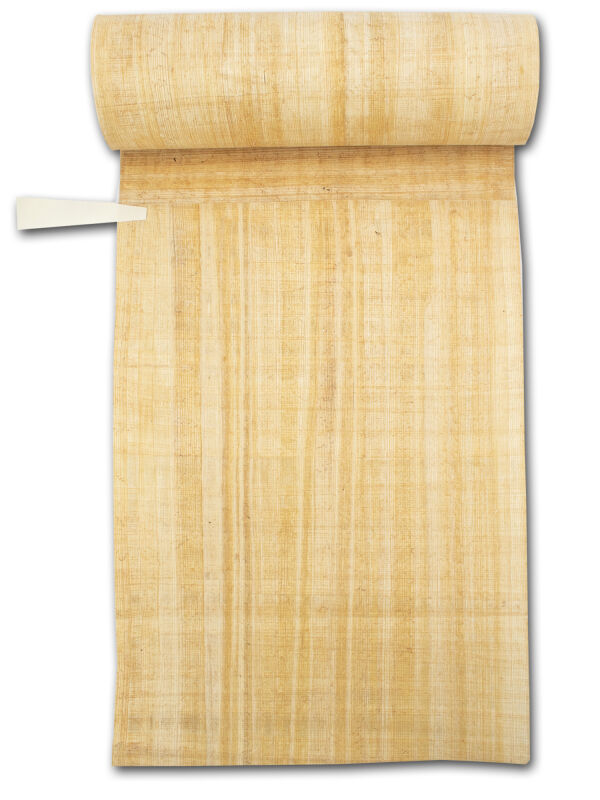 Rollo de libro Pliny | Rollo - Rollo de papiro de 400cm de largo