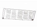 Book roll Pliny | Scroll - Papyrus roll 400cm long