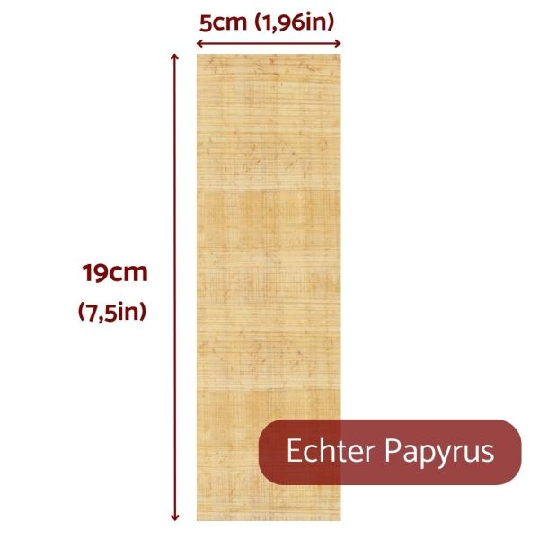 Papiro 19x5cm cortado, marcadores de color