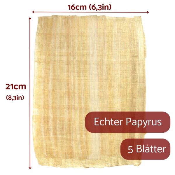 Hojas de papiro 21x16cm , 5 hojas margen natural, papiros egipcios