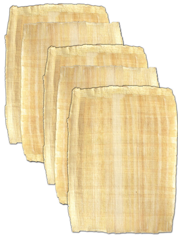 Papyrus leaves 21x16cm , 5 sheets natural margin,...