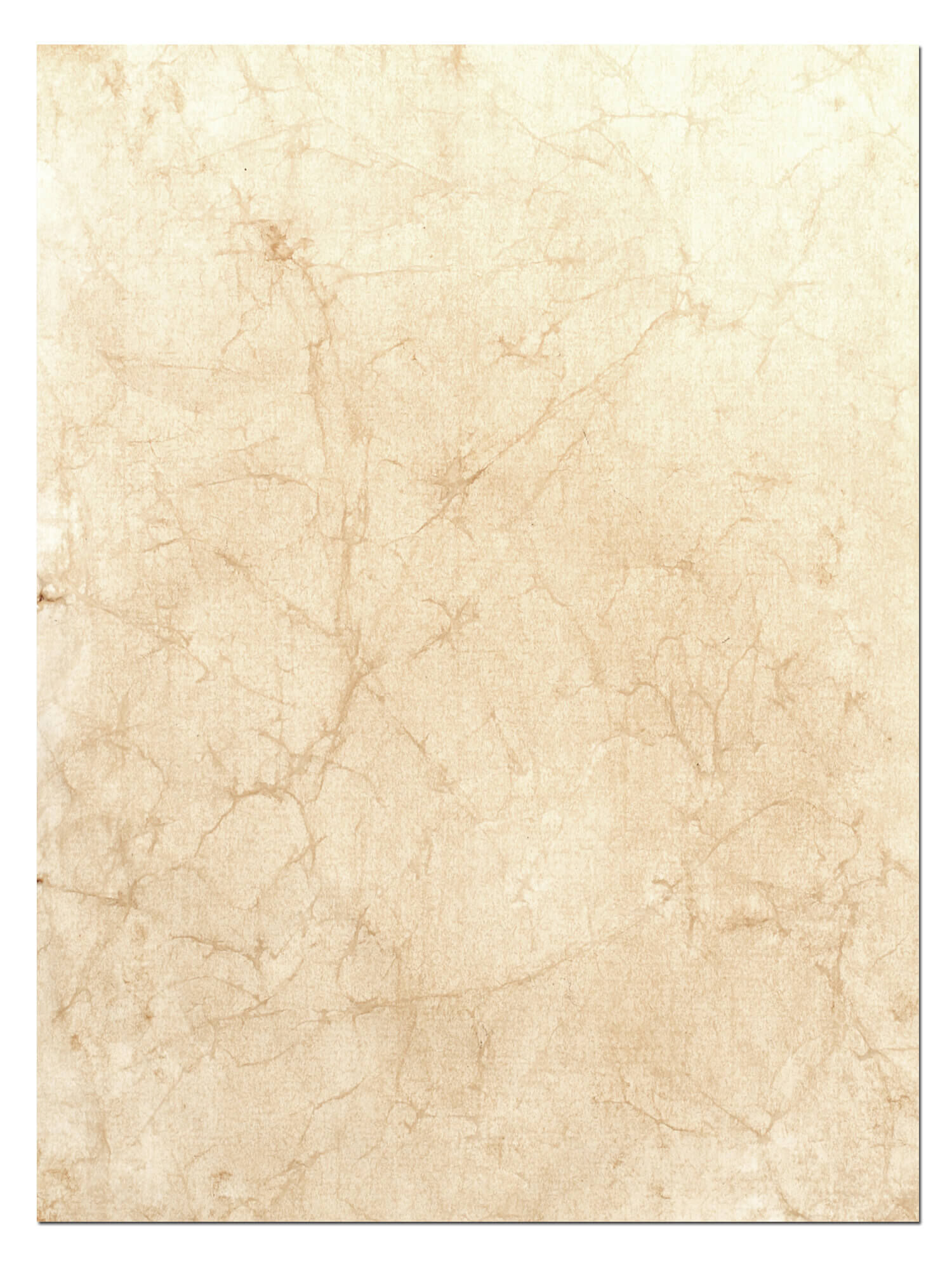 Parchment sheet 20x30cm