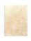Parchment sheet 20x15cm cut, real animal skin goat