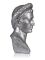 Busto de Augustus Ara pacis - plata