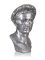 Augustus Ara pacis bust - silver color