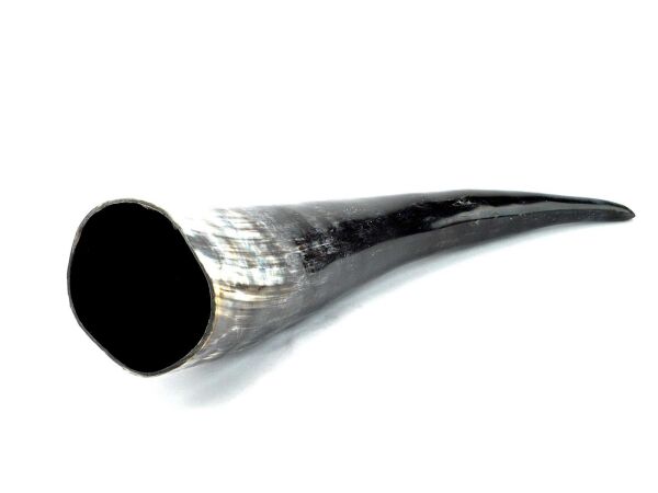 Drinking horn polished approx. 300 - 400 ml