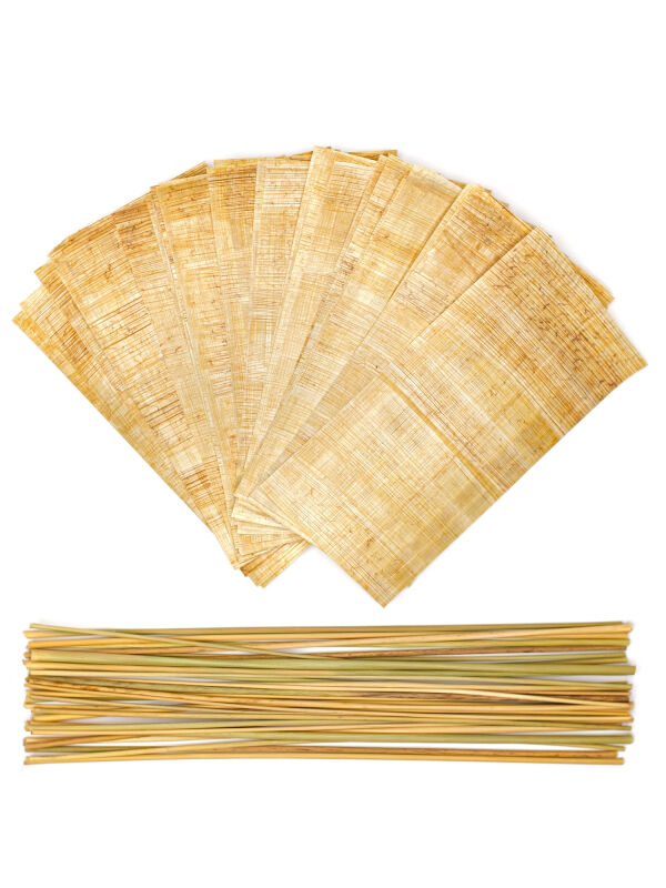 Binsen 30 pcs. Class set & 30 sheets 20x10cm Papyrus strips
