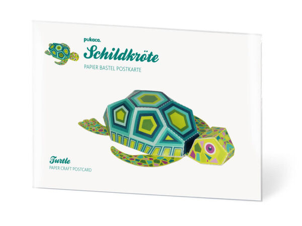 Turtle postcards design