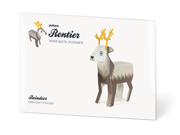 Designing reindeer postcards
