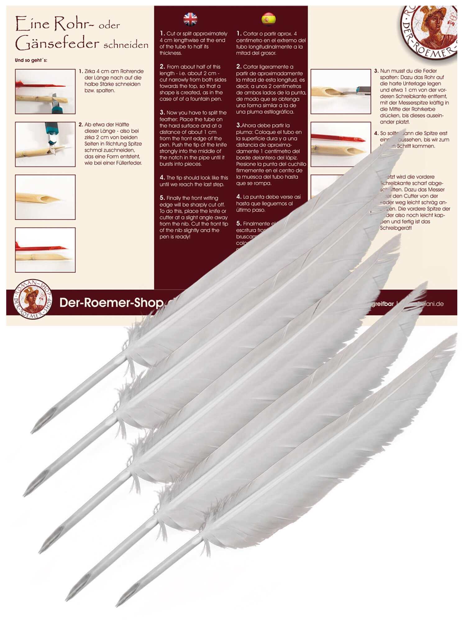 nib feather pluma plume D.leonardt & cie gauloise n°5750 EF penna 