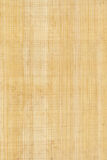 Hojas de papiro 15x10cm, 5 hojas cortadas, papiro natural egipcio