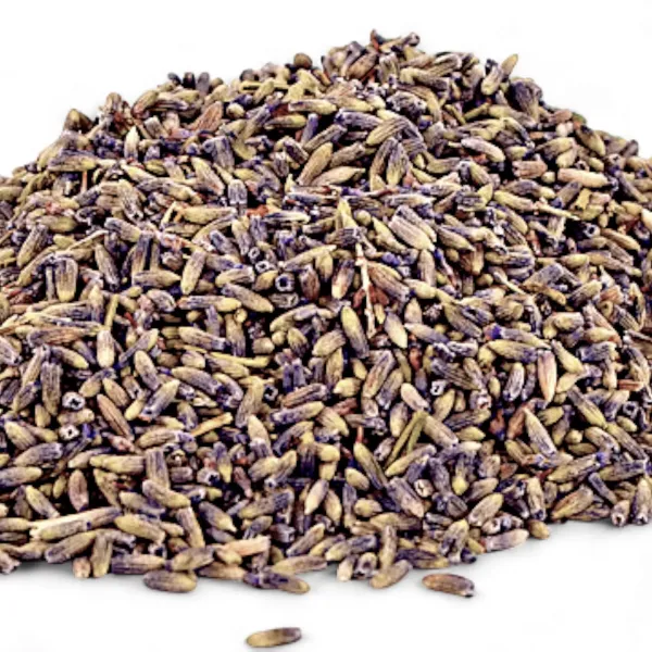 Whole French lavender buds - cleaned, 25 g
