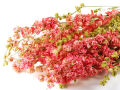 Pink Delphinium Bunch - 65 cm Dried Flowers, Natural Decor