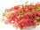 Pink Delphinium Bunch - 65 cm Dried Flowers, Natural Decor