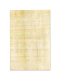 Hoja de papiro 20x15cm cortada, papiro natural egipcio
