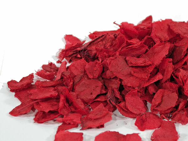 Rose petals dyed red