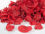 Rosenblätter Rot gefärbt 10g