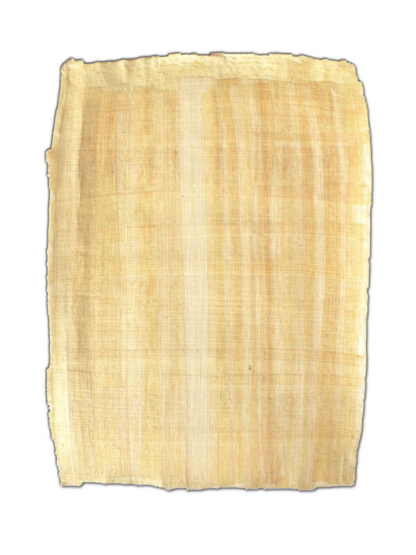 Hoja de papiro 21x16cm borde natural, Papiros egipcios