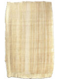 Hoja de papiro 92x62cm borde natural, Cyperus Papyrus