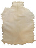 Parchment roll whole skin 80x60cm, real animal skin...