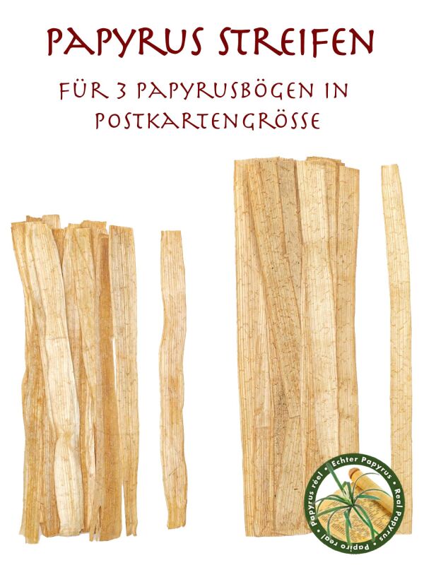Papyrusherstellung Memnon für 3 Papyrusbögen A6, Papyrusstreifen