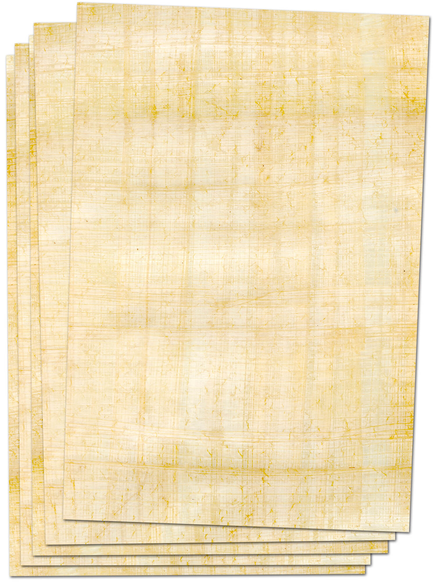 Import Allemagne Papyrus 88027687 PlanoDynamic Paquet de 500 feuilles de papier multifonctions format US 21,5 x 27,9 cm grammage 80 g/m² Blanc 