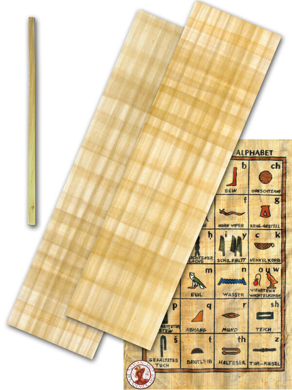 Teaching material Egypt real papyrus with rush