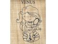 Coloring pages Romans Goddess Venus, 15x10cm coloring picture on real papyrus