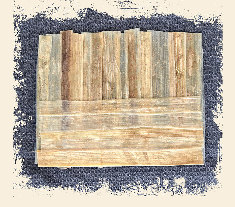 Fabrication du papyrus : superposer les bandes